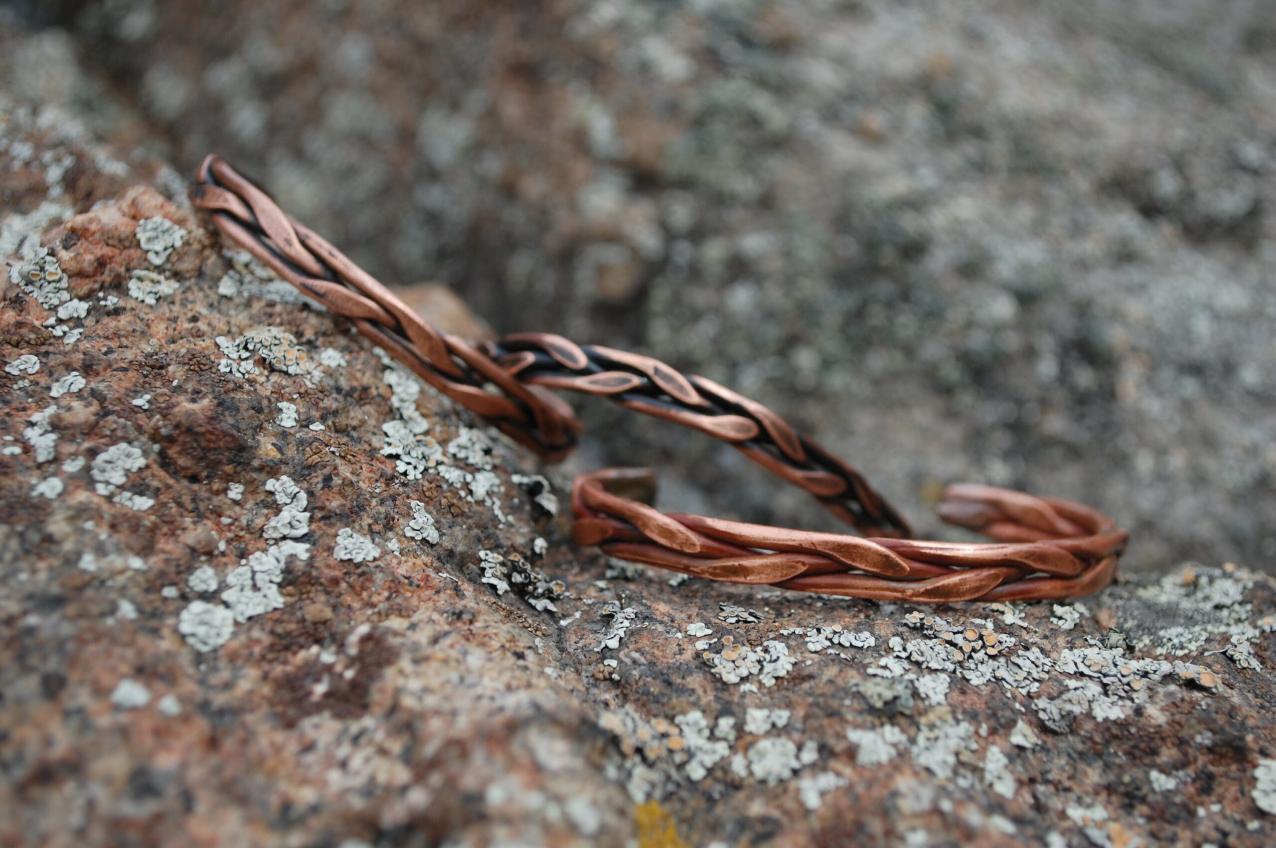 The Harvester - Image 6