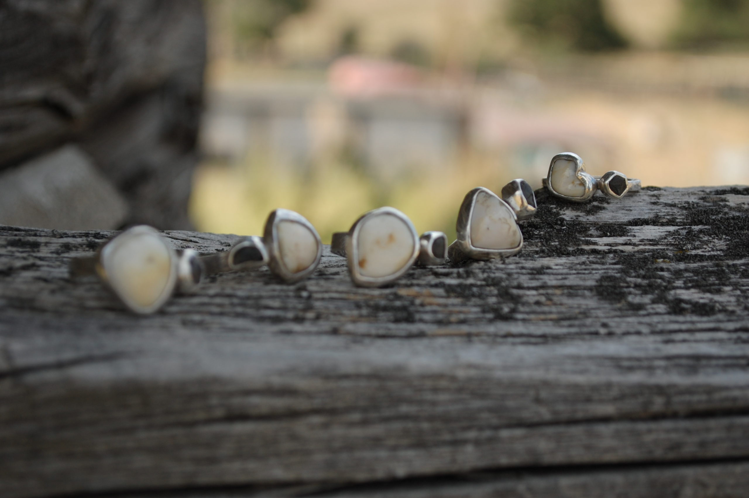 For the Love of Elk - Image 5