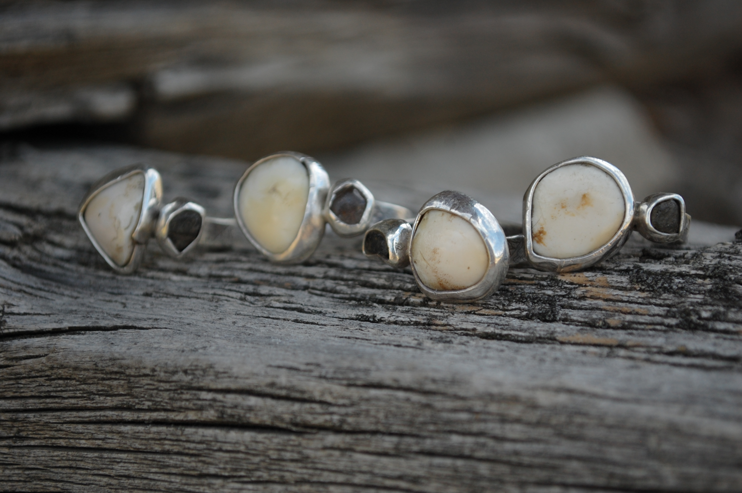 For the Love of Elk - Image 4