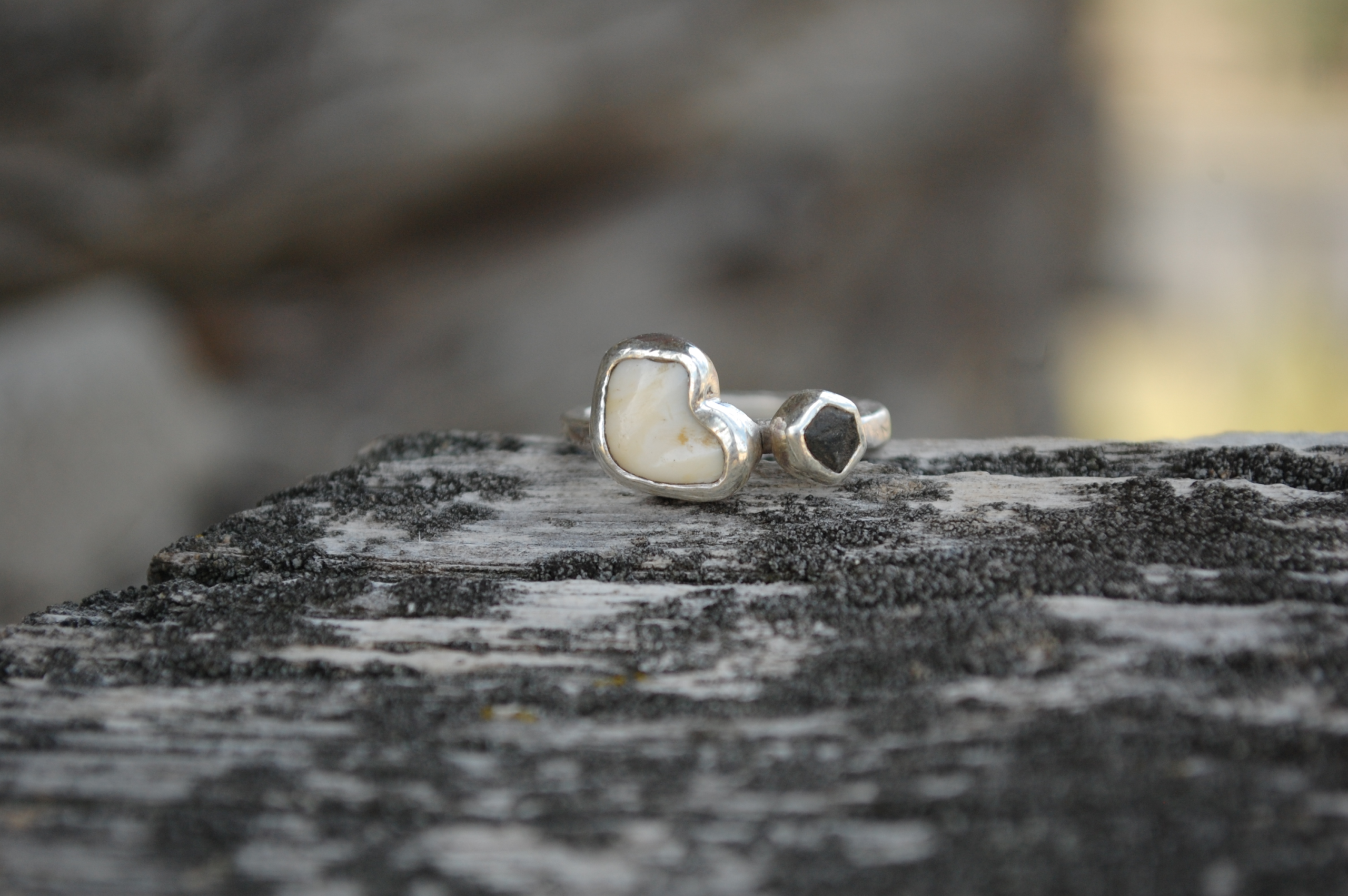 For the Love of Elk - Image 6