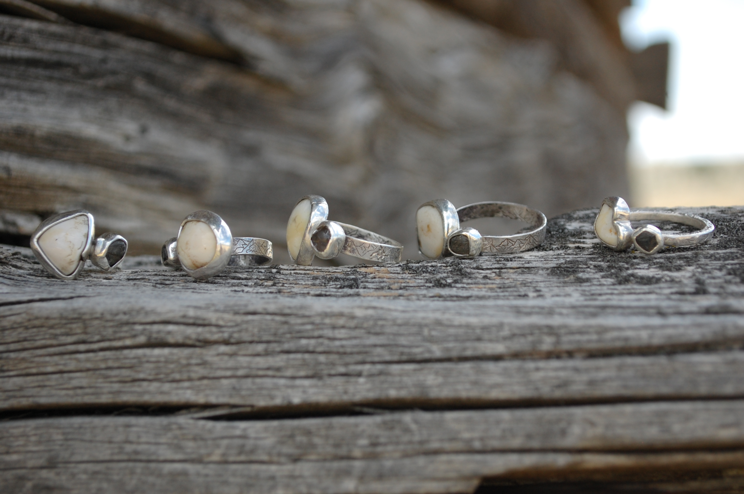 For the Love of Elk - Image 3