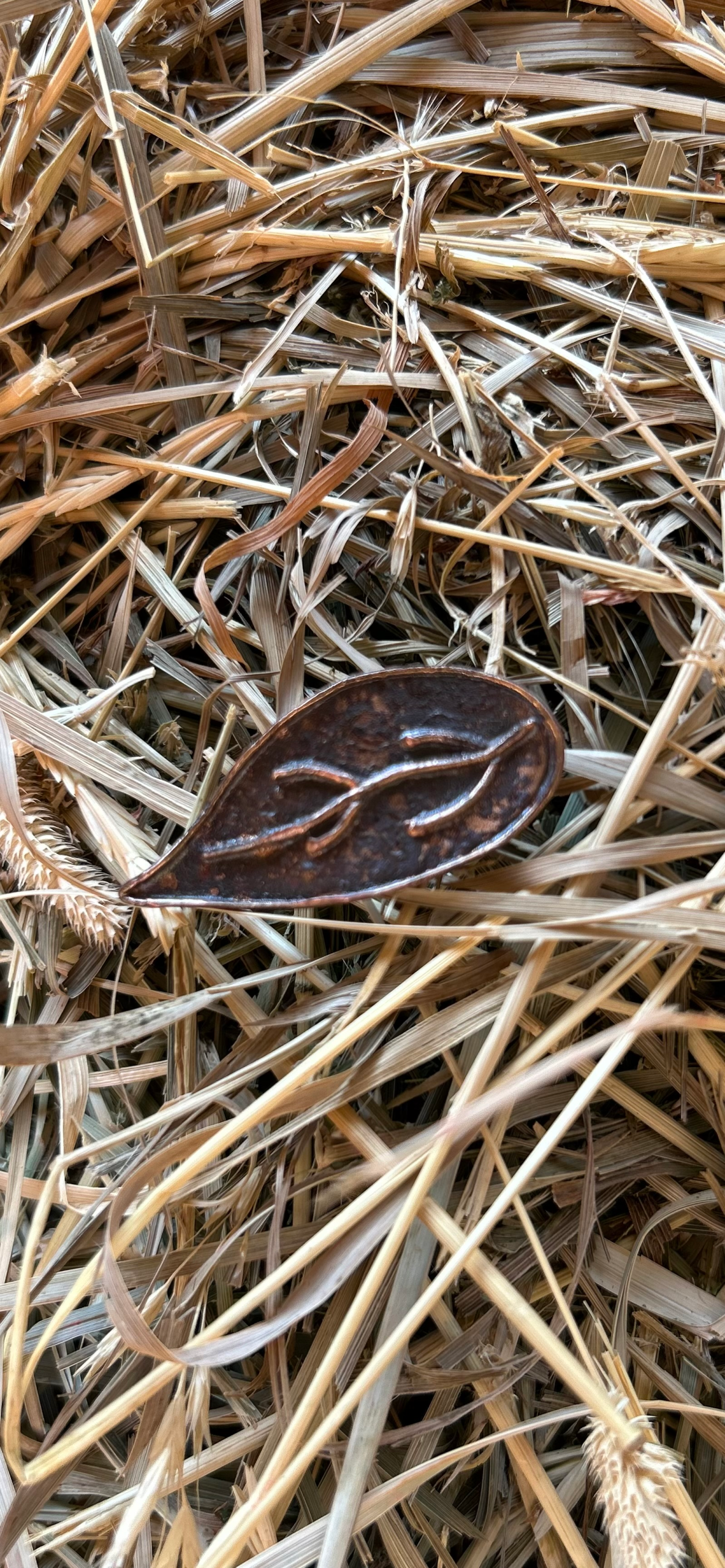 Bling With A Sting - Image 8