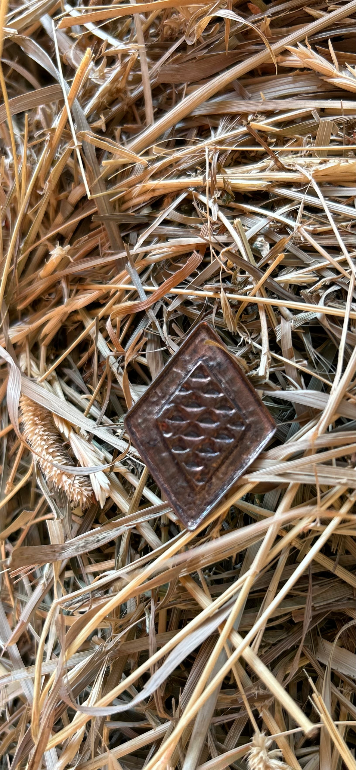 Bling With A Sting - Image 3